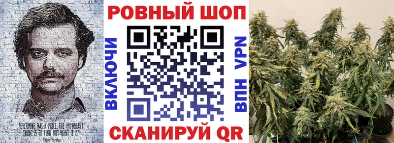 Где можно купить наркотики Вичуга Бутират Alpha PVP Меф ГАШИШ