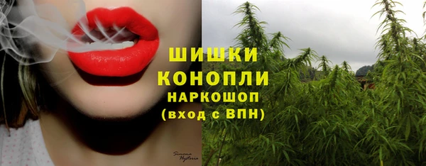 прущий лед Верея