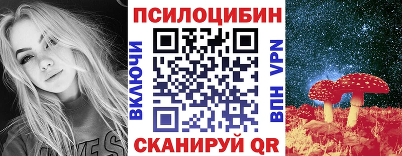 Галлюциногенные грибы Psilocybine cubensis  Вичуга 